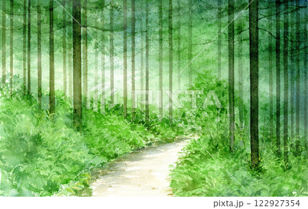 森林の中の小道の水彩画のイラスト素材 [122927354] - PIXTA