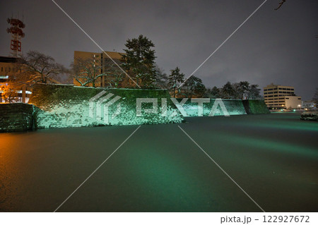 吹雪の福井県庁お堀と福井駅の恐竜たち 122927672