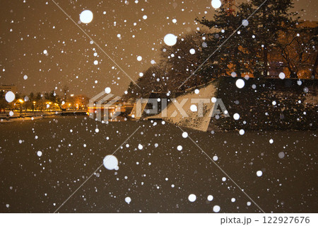吹雪の福井県庁お堀と福井駅の恐竜たち 吹雪の福井県庁お堀と福井駅の恐竜たち 122927676