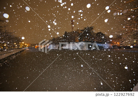吹雪の福井県庁お堀と福井駅の恐竜たち 吹雪の福井県庁お堀と福井駅の恐竜たち 122927692