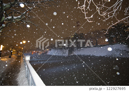 吹雪の福井県庁お堀と福井駅の恐竜たち 吹雪の福井県庁お堀と福井駅の恐竜たち 122927695