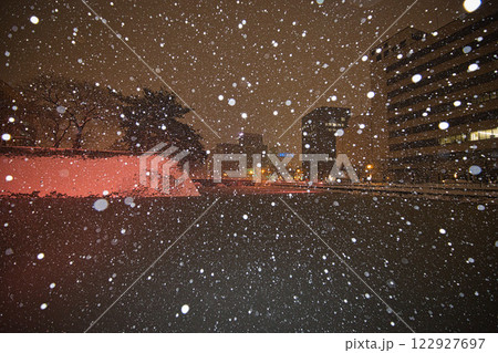 吹雪の福井県庁お堀と福井駅の恐竜たち 122927697