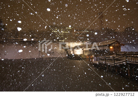 吹雪の福井県庁お堀と福井駅の恐竜たち 122927712