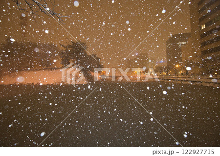 吹雪の福井県庁お堀と福井駅の恐竜たち 122927715