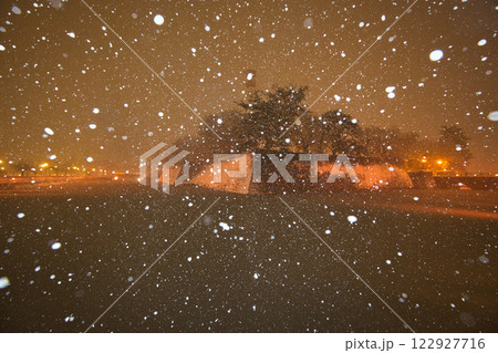 吹雪の福井県庁お堀と福井駅の恐竜たち 122927716