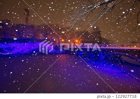 吹雪の福井県庁お堀と福井駅の恐竜たち 122927718