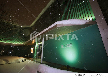 吹雪の福井県庁お堀と福井駅の恐竜たち 122927720