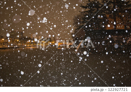 吹雪の福井県庁お堀と福井駅の恐竜たち 122927721
