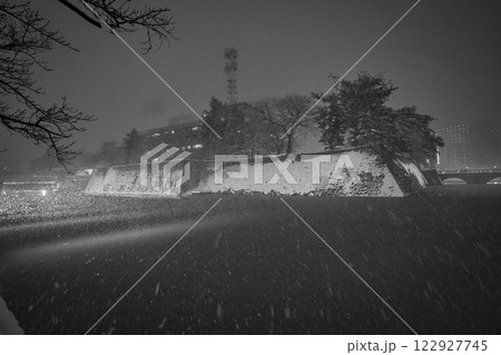 吹雪の福井県庁お堀と福井駅の恐竜たち 122927745