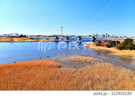 新行徳橋/江戸川放水路より行徳橋/行徳可動堰方向を望む(千葉県市川市)【2025.1】 新行徳橋/江戸川放水路より行徳橋/行徳可動堰方向を望む(千葉県市川市)【2025.1】 122928189