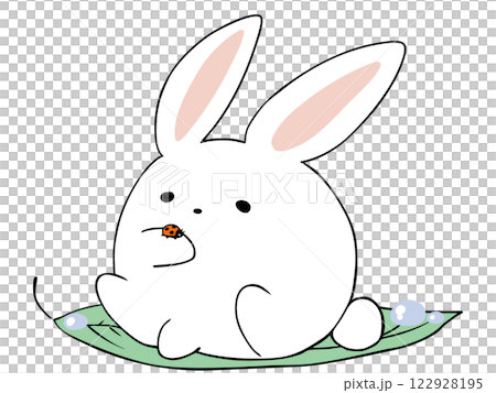 兔子瓢蟲 122928195
