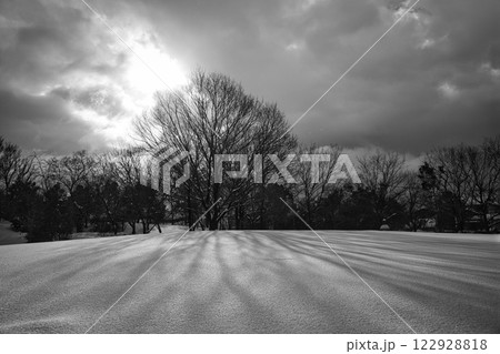 雪景色の市立美術館 雪景色の市立美術館 122928818