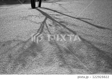 雪景色の市立美術館 雪景色の市立美術館 122928822