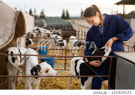 Smiling woman farmer playing with little calf in open stall 122929125