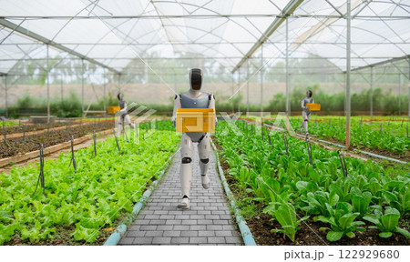Robot assistant harvest in farm 122929680