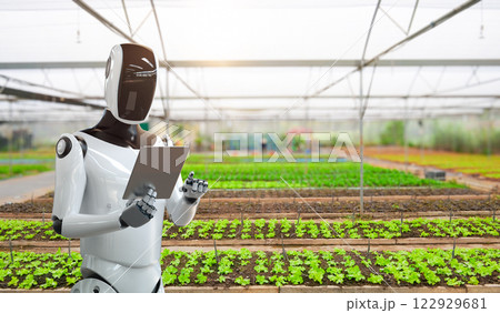 Agriculture technology concept with 3d rendering robot assistant work in farm 122929681