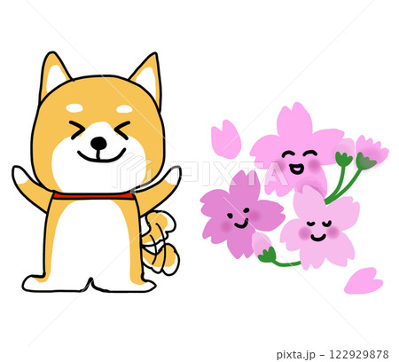 桜の花の前で喜ぶしばいぬ 桜の花の前で喜ぶしばいぬ 122929878