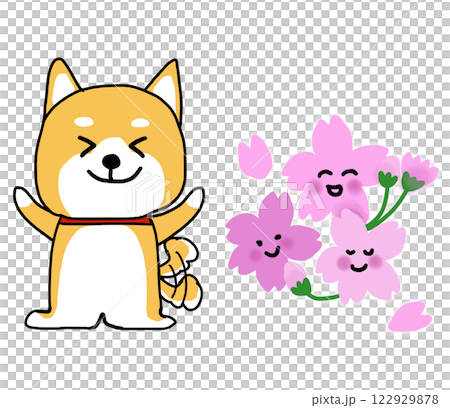 桜の花の前で喜ぶしばいぬ 桜の花の前で喜ぶしばいぬ 122929878