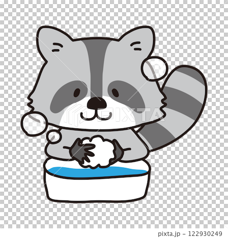 Raccoon washing hands 122930249