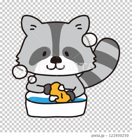 洗濯をするアライグマ 122930250