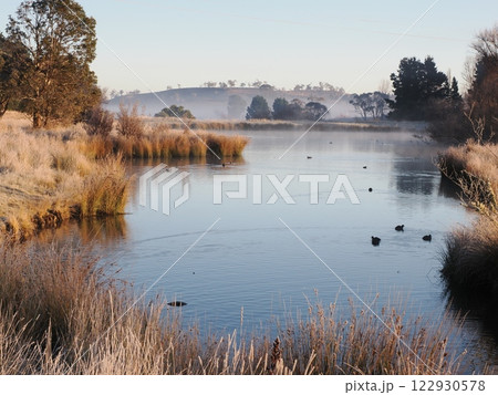 Lake Williams Nimmtabelの朝の風景　　NSW Australia 122930578