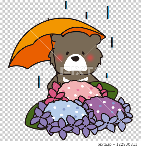 下雨天，一隻黑熊撐著傘凝視著繡球花 122930813