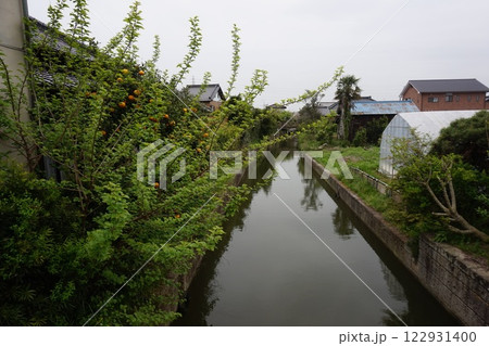 加藤洲十二橋 水郷筑波国定公園 加藤洲十二橋 水郷筑波国定公園 122931400