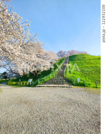 丸墓山古墳の桜(さきたま古墳公園) 丸墓山古墳の桜(さきたま古墳公園) 122932100