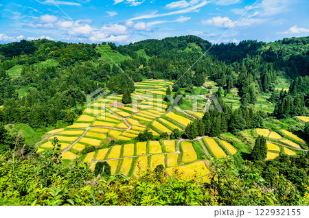 新潟 慶地の棚田　実りの秋 122932155