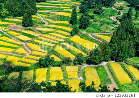 新潟 慶地の棚田　実りの秋 122932161