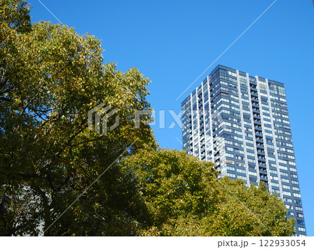 緑とタワーマンションのある都市風景｜豊洲 122933054