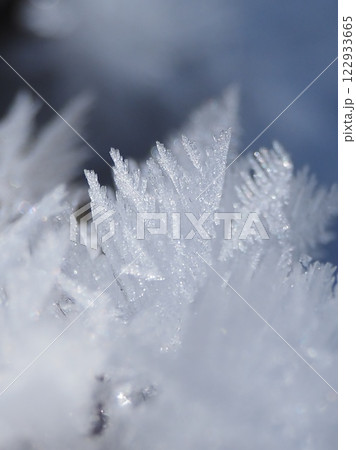 霜の結晶（20250125095243） 122933665