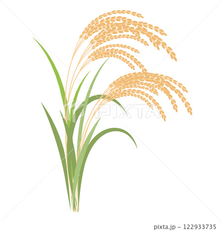 シンプルな稲のイラスト シンプルな稲のイラスト 122933735