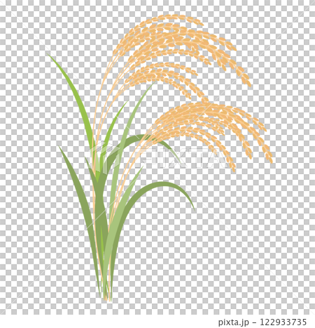 シンプルな稲のイラスト シンプルな稲のイラスト 122933735