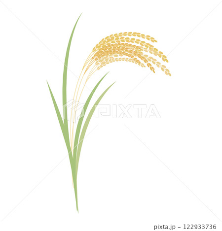 シンプルな稲穂のイラスト 122933736
