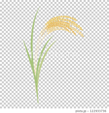 Simple rice ear illustration 122933736
