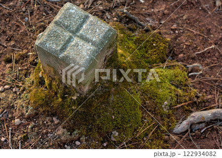 森に設置された境界標 122934082