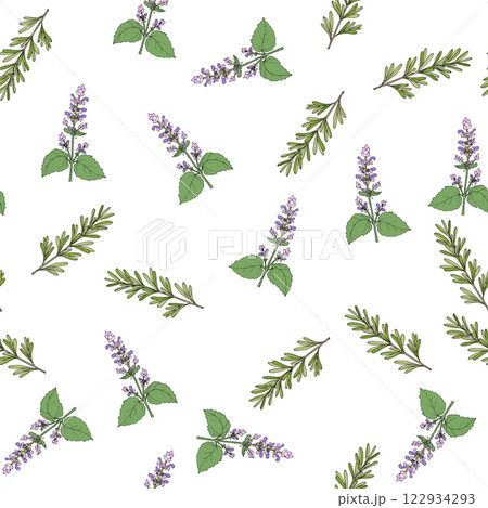 Seamless pattern with Clary sage and rosemary, edible and medicinal plant Seamless pattern with Clary sage and rosemary, edible and medicinal plant 122934293