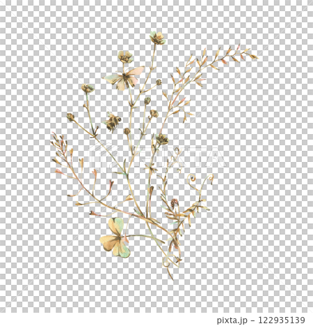 Field, meadow, wild flowers and herbs buttercups with shepherd's purse, butterfly and bumblebee. Watercolor illustration, hand-drawn in beige, brown and ocher tones. Bouquet isolated from background. Field, meadow, wild flowers and herbs buttercups with shepherd's purse, butterfly and bumblebee. Watercolor illustration, hand-drawn in beige, brown and ocher tones. Bouquet isolated from background. 122935139