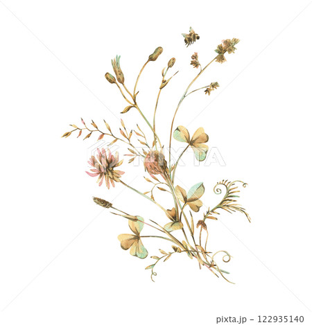 Field, meadow, wild flowers and herbs clover with shepherd's purse, pollen and bumblebee. Watercolor illustration hand drawn in beige, brown and ocher colors. Bouquet isolated from the background. Field, meadow, wild flowers and herbs clover with shepherd's purse, pollen and bumblebee. Watercolor illustration hand drawn in beige, brown and ocher colors. Bouquet isolated from the background. 122935140
