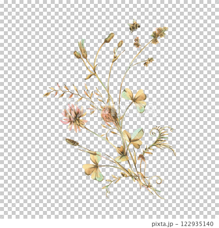 Field, meadow, wild flowers and herbs clover with shepherd's purse, pollen and bumblebee. Watercolor illustration hand drawn in beige, brown and ocher colors. Bouquet isolated from the background. Field, meadow, wild flowers and herbs clover with shepherd's purse, pollen and bumblebee. Watercolor illustration hand drawn in beige, brown and ocher colors. Bouquet isolated from the background. 122935140