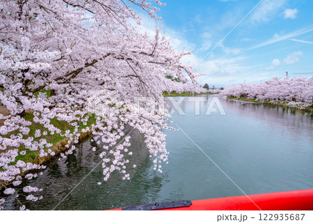 【青森県弘前市】弘前城春陽橋からみる弘前城西濠の桜 【青森県弘前市】弘前城春陽橋からみる弘前城西濠の桜 122935687