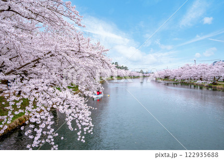 【青森県弘前市】弘前城春陽橋からみる弘前城西濠の桜 【青森県弘前市】弘前城春陽橋からみる弘前城西濠の桜 122935688