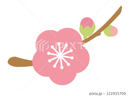 ひな祭り_桃の花_桃の節句（背景白） 122935709
