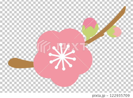 ひな祭り_桃の花_桃の節句（背景白） 122935709