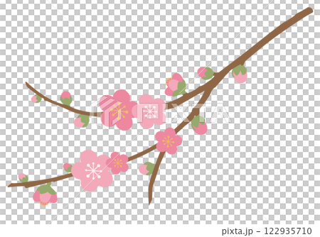 桃の花_桃の節句（背景白） 122935710