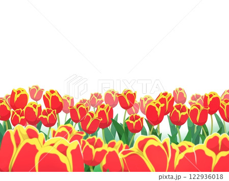 赤黄色のチューリップのフレーム背景 赤黄色のチューリップのフレーム背景 122936018