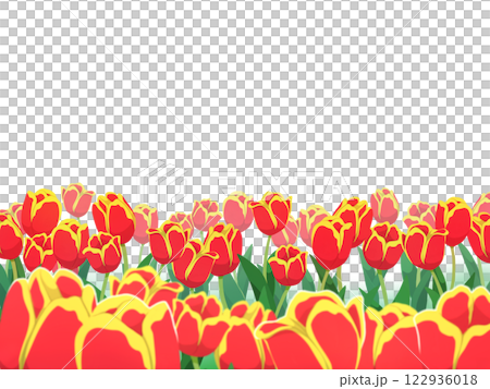 赤黄色のチューリップのフレーム背景 赤黄色のチューリップのフレーム背景 122936018