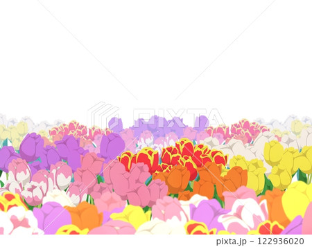 色々なチューリップのフレーム背景 122936020