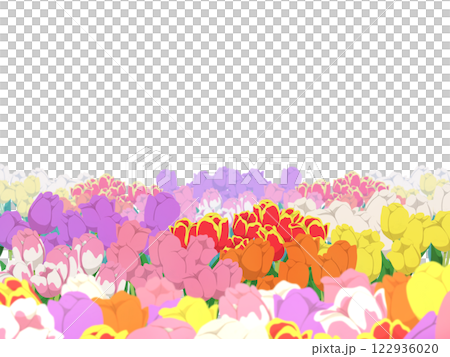 色々なチューリップのフレーム背景 122936020